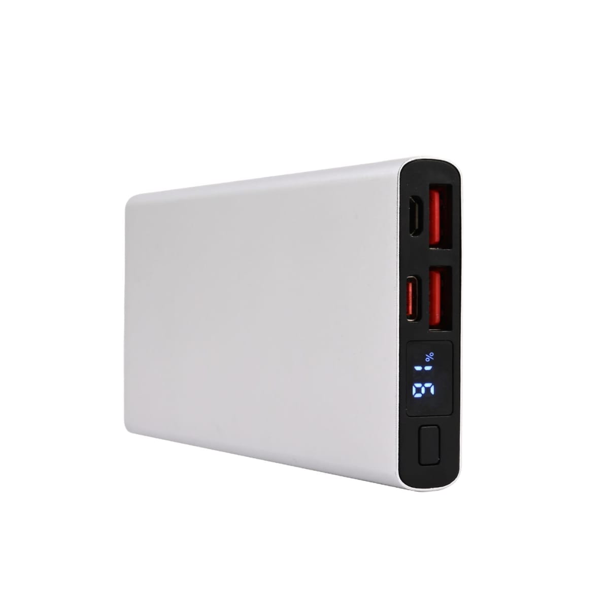 Leopard Power Bank