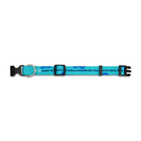 Sublimated Dog Collar