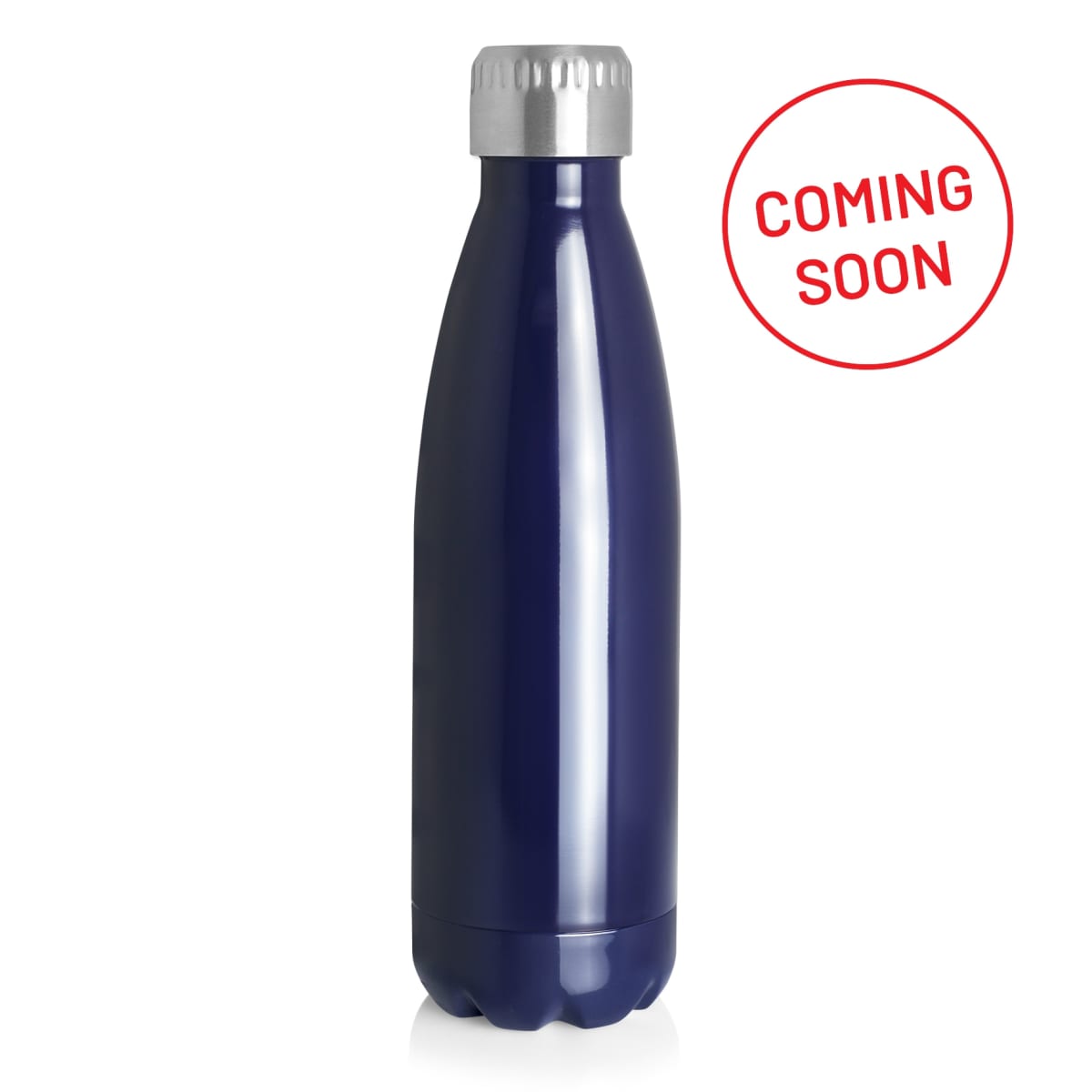 Bottle Stainless 700ml