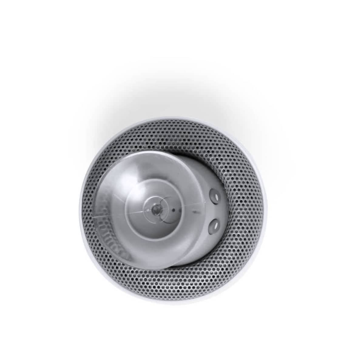 Speaker - Wanap