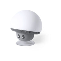 Speaker - Wanap