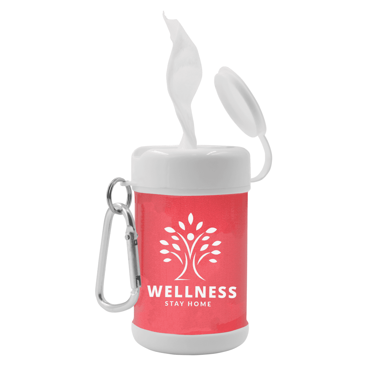 Antibacterial Wipes Canister