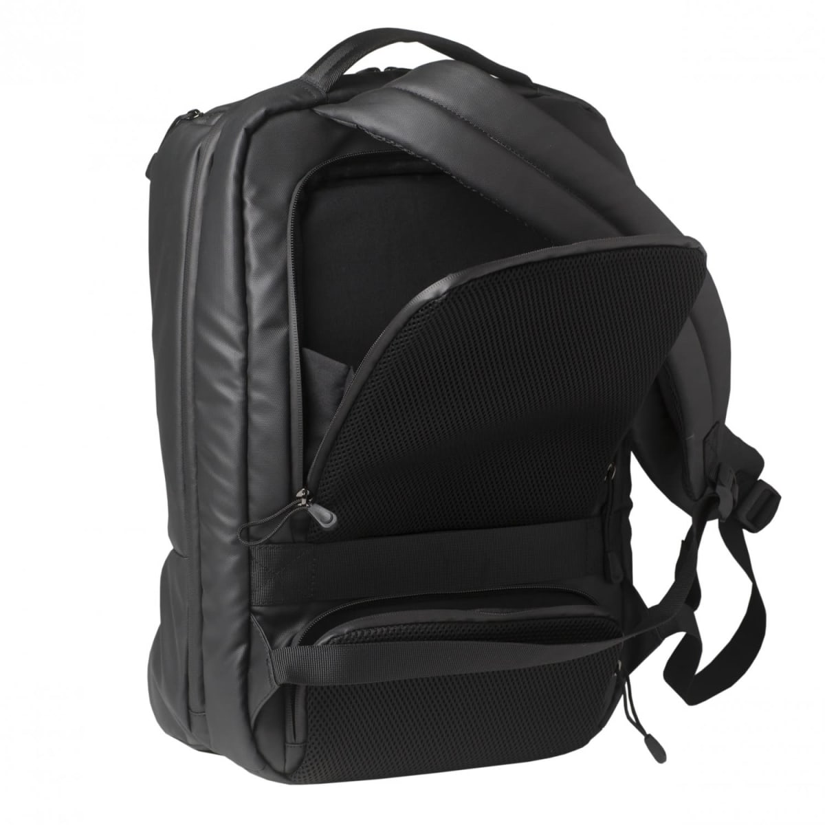 Backpack Buzz