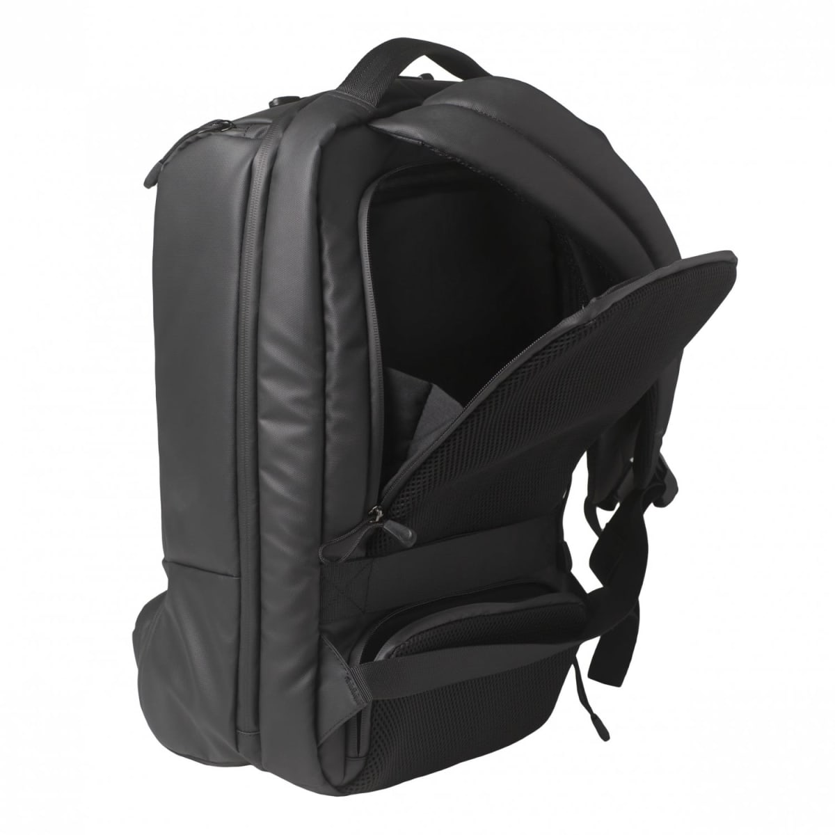 Backpack Buzz