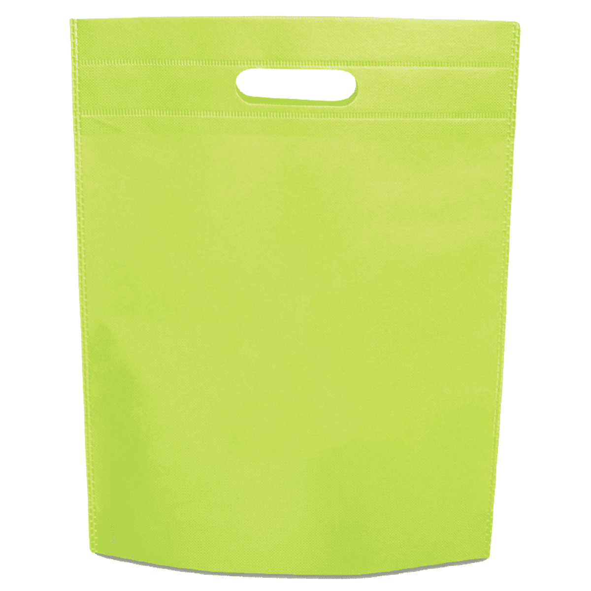 Non-Woven Gift Bag