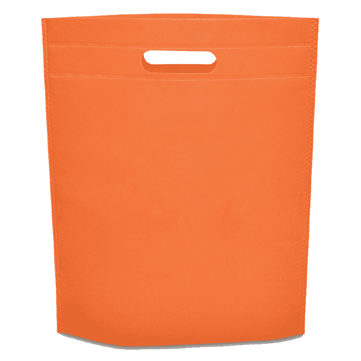 Non-Woven Gift Bag