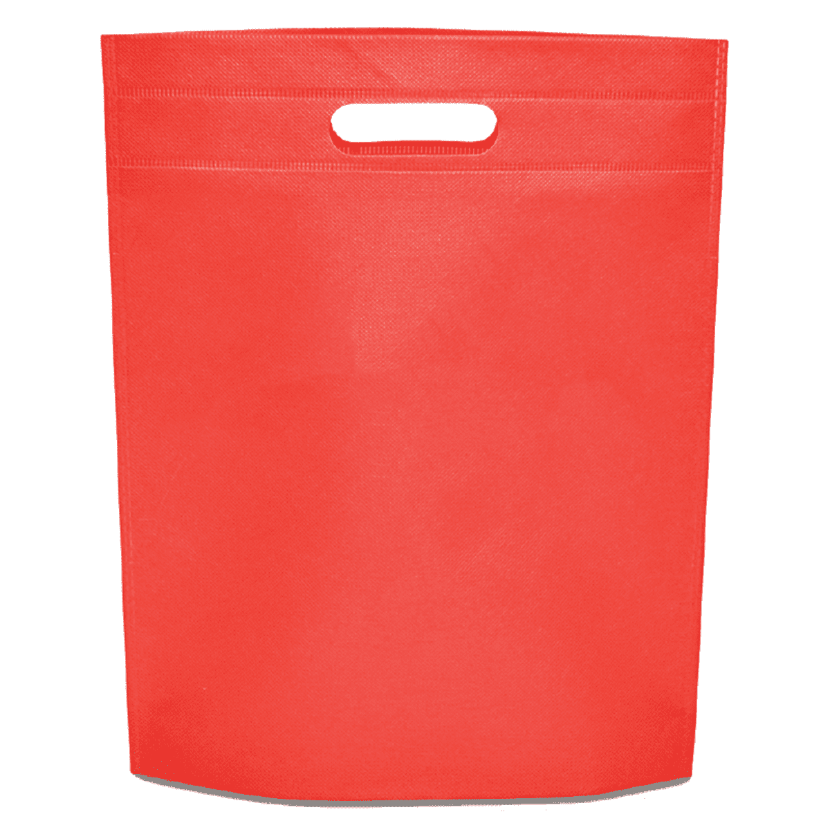 Non-Woven Gift Bag