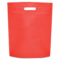 Non-Woven Gift Bag