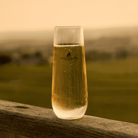 Stemless Shatterproof Champagne Glass