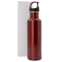 Radiant San Carlos 680ml Water Bottle