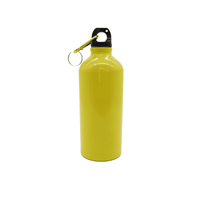 Voyager 600ml Bottle