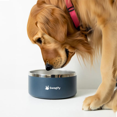 Tucker Pet Bowl