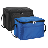 Spectrum Budget 6 Can Lunch Cooler