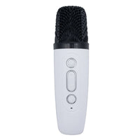 Caroline Portable Karaoke Machine