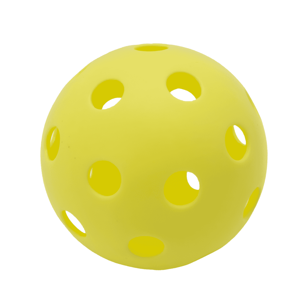 Phil's Pickle Ball Set