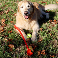 Zoomie Ball Launcher