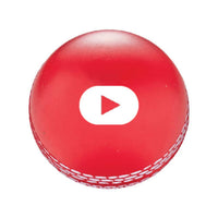 Squeeze Cricket Ball