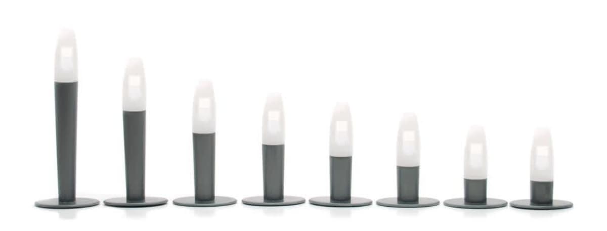 Christmas  Musical Crackers Bon Bons