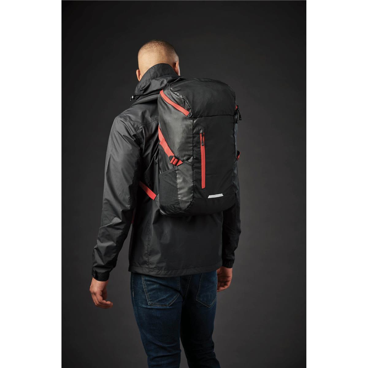 Whistler Backpack