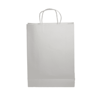 Paper Show Bag