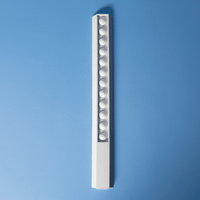 30cm Popper Ruler