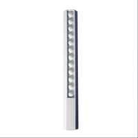30cm Popper Ruler