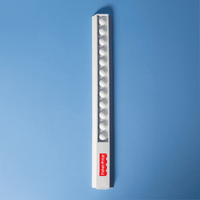 30cm Popper Ruler