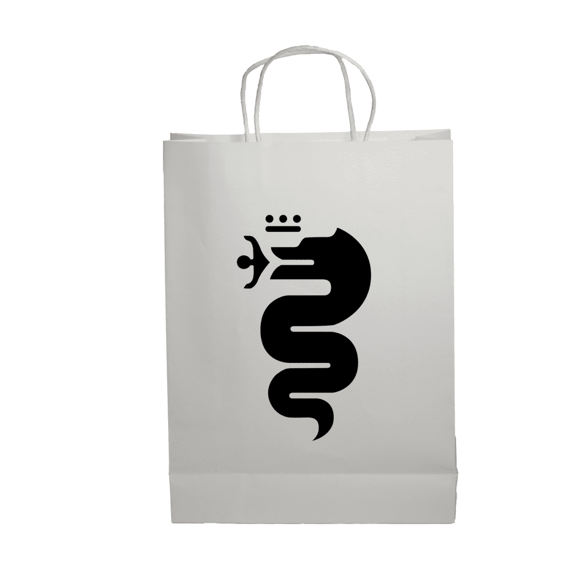 Paper Show Bag