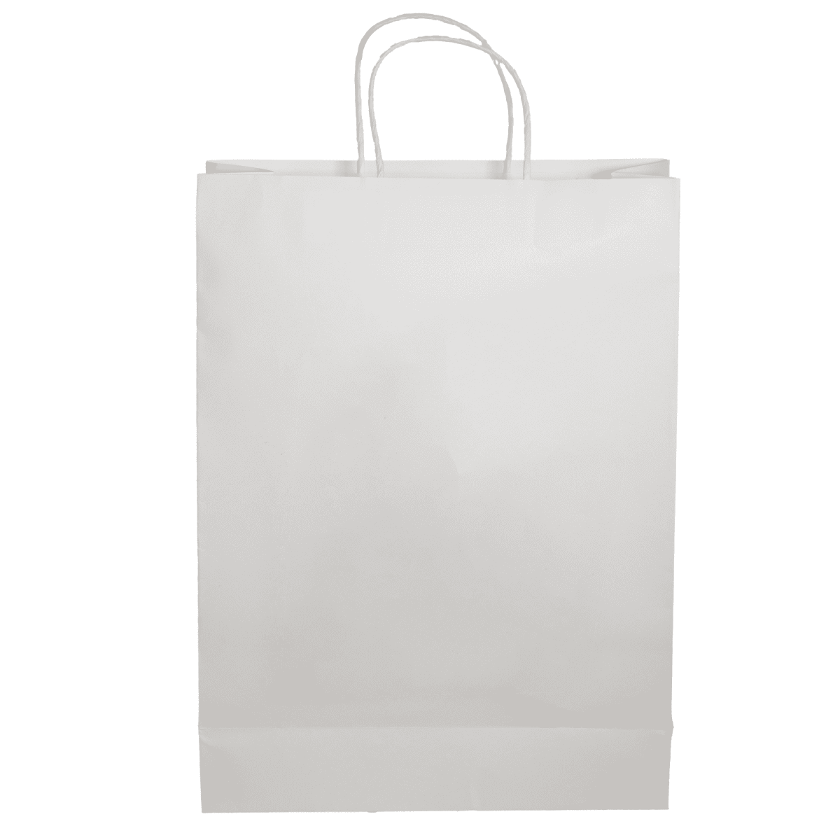 Paper Shopping Bag