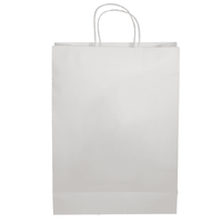 Paper Shopping Bag