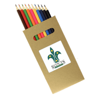 10 Pk Natural Wood Full Size Colouring Pencil