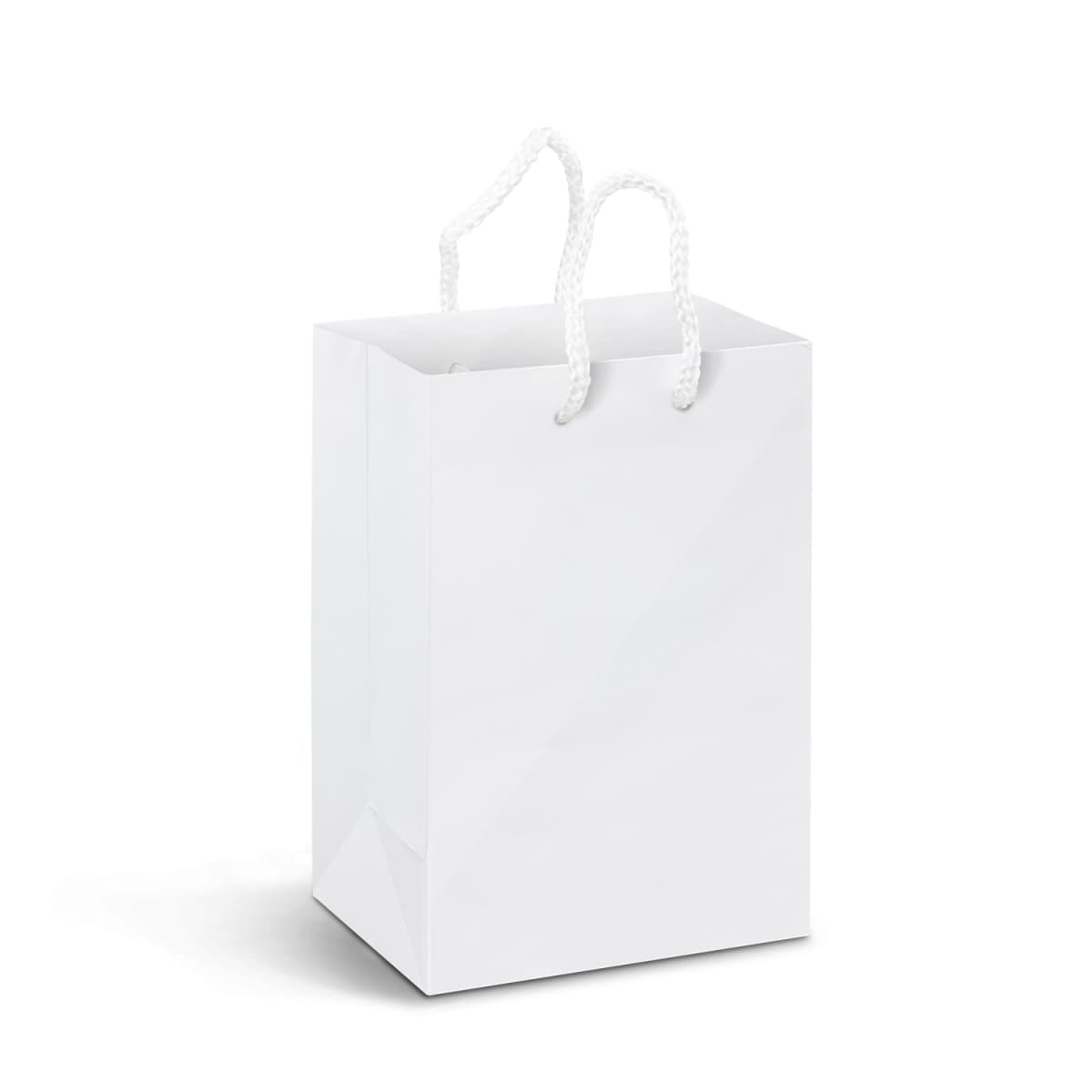 Small Laminated Paper Carry Bag - Full Colour