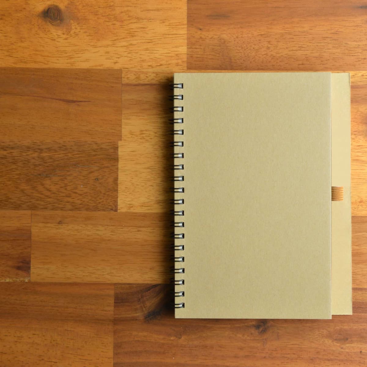 Savannah Notebook