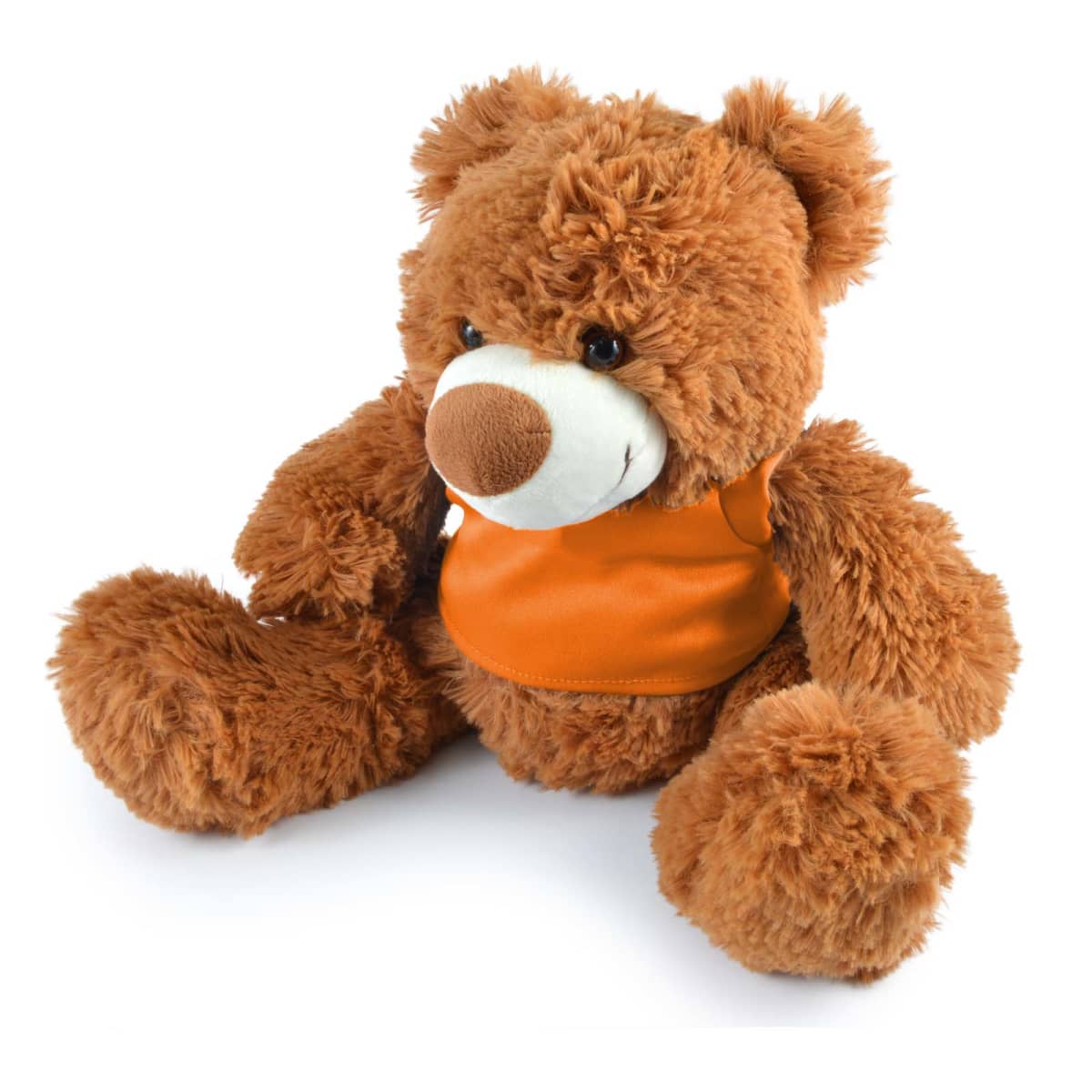 Coco Plush Teddy Bear